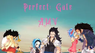 Perfect: Gale AMV