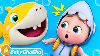 Baby Shark | Baby Shark Doo Doo Doo Dance | Baby ChaCha Nursery Rhymes & Kids Songs