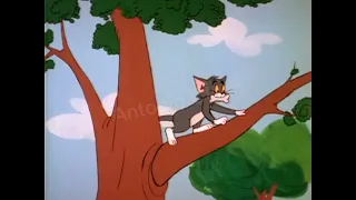 Tom & Jerry (1980) - Ama Seca De Cachorro (Completo)