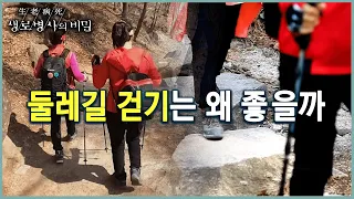 과학적으로 증명된 둘레길 걷기의 장점 (KBS 20220413 방송)