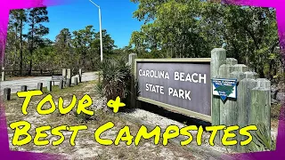 Carolina Beach State Park | Tour and Best Campsites