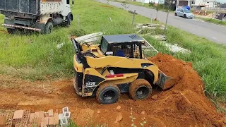 Bobcat