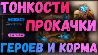 ТОНКОСТИ ПРОКАЧКИ ГЕРОЕВ И КОРМА | Watcher of Realms