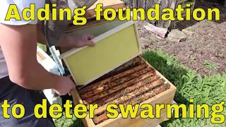 🔵How to prevent swarming with no drawn combs!