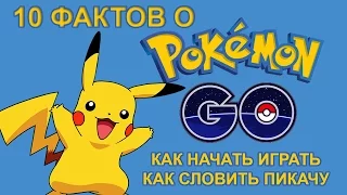 [ТОП] 10 фактов о Pokemon GO (Покемон Го): как начать играть и словить Пикачу