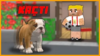 EFEKAN'IN KÖPEĞİ RIFKI EVDEN KAÇIYOR! 😭 - Minecraft ZENGİN FAKİR HAYATI