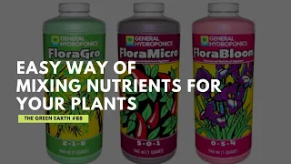 #88 How to Mix Flora Series General Hydroponic Solution? | A quick and simple steps | #88