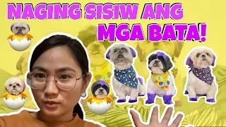 MAKEOVER NG BOYS!!! DOG HAIR DYE  (nagmuka silang sisiw) || Shang Ragasa