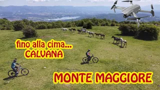 fino alla cima della CALVANA in MTB (col drone) - MONTE MAGGIORE (episodio 1/2)