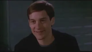 Sam Raimi's Spider-Man (2002) is better than The Amazing Spider-Man