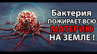 Новый сценарий. Бактерия пожирает всю материю на земле ! ( Plague Inc: Evolved )