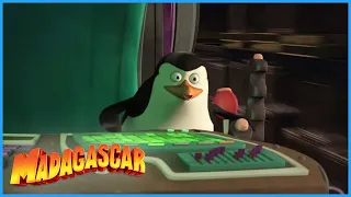 DreamWorks Madagascar | 'I'm The Secret Weapon!' | Penguins of Madagascar Clip