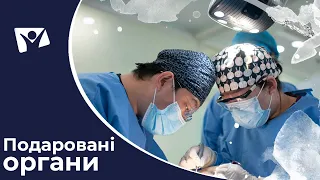 Подаровані органи: життя після трансплантації | Вісті Надії