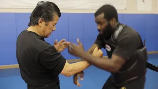 Super Simple Training Method to Master Wing Chun Punch | Sifu Francis Fong