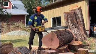 Big ol' chainsaws, cutting big hard wood log, and a message