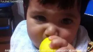 BABIES EATING LEMONS FOR FIRST TIME COMPILATION JANUARY 2014   YouTube 360p