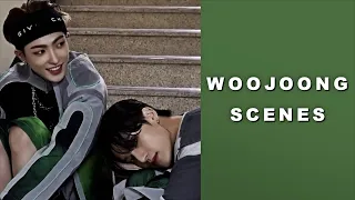 updated Woojoong scenes