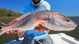 Catch n' Cook Delicious Redfish Right On the Boat!