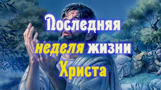 Последняя неделя жизни Иисуса Христа. Документальный фильм об обстоятельствах его смерти.