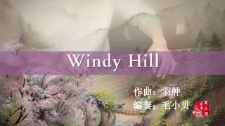 【纯古筝】Windy Hill，在喧嚣的世界里，我静静倾听你