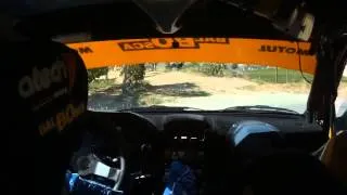 Cameracar Rally del Tartufo 2013 Arione-Cestari Clio S1600 7°assoluti 1°di classe