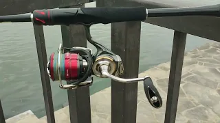 SHIMANO VANFORD, ТЫ И ПРАВДА ЛУЧШАЯ? АПГРЕЙД DAIWA 20 LUVIAS LT 3000.