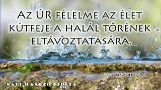 NAPI HANGZÓ BIBLIA - 05.06. - 126. RÉSZ - Ruth 2,1-4,22; Jn 4,43-54; Zsolt 105,16-36; Péld 14,26-27