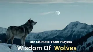 "Wolf Mentality - An Inspirational and Motivational Journey"