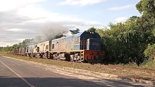 Trem da FCA carregado de minério subindo a rampa na Bahia.