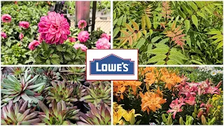 NEW ARRIVALS & Memorial Day Sale! Lowes Garden Center May 2024