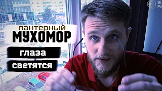 Мухоморы / Как я умер и воскрес...