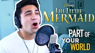 Part of Your World (Male Version) Disney Cover- The Little Mermaid | Daniel Coz