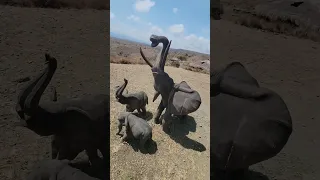 ORIGINAL MAASAI LODGE - AFRICA AMINI LIFE  Arusha, Tanzania ❤️