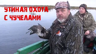 Осенняя охота на утку Валерия Кузенкова со сминаемые чучелами Softplast