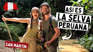 😯👉 I didn't imagine like this THE PERUVIAN JUNGLE - The ASIA of Latin America? - Peru, Tarapoto