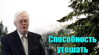 "Способность утешать" Янц Я.