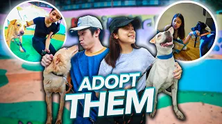 Dog Shelter Volunteers For A Day! | Ranz and Niana