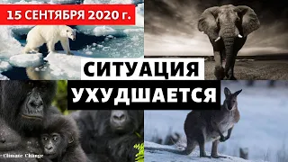 Популяция животных сократилась на две трети всего за 50 лет! Катаклизмы в мире! Выпуск #15 сентября.