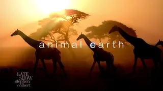This Week On Animal Earth: Animals Are Having To Adapt To Climate Change