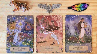 🧚🧞🧚UNEXPECTED BLESSINGS COMING YOUR WAY NOW!!!🧚🧞🧚tarot card reading🧞pick a card🧞timeless