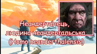 Неандертальці. Кам'яний вік людства. Льодовиковий період. Повсякденне життя Неандертальців. Урок 4.