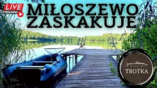 Gdzie są ryby? Jak szukać karpi na Miłoszewie? Ekipy Łowią!