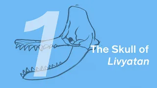 Requena the Livyatan 1: The Skull | Learn to Draw Marine Animals with ZHAO Chuang