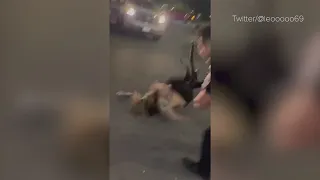 VIRAL VIDEO CAPTURES BRAWL: Security seen slamming woman to ground in incident outside Texas bar