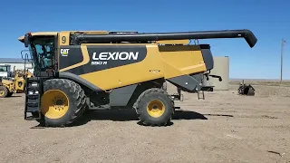 2010 LEXION 590R For Sale