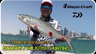 Episode 27 | Milkfish hunting / Bangus | Al corniche Doha Qatar | One of the most popular spot #fish