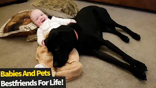 Top 20 Moments: Dogs And Babies Being Best Friends