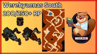 Werehyaenas South | 250+ Paladin | Tibia