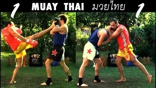 MUAY THAI : The Art of 8 Limbs ( Part 1 )