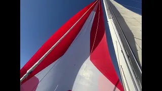 Swan 60 sailing video